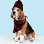 Vibrant Life Pet Beanie Hat and Bandana Set for Dogs and Cats Plaid Sweater Knit