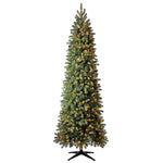 9 ft Wesley Long Needle Pine LED Pre-Lit Artificial Christmas Tree with 650 Color Changing Mini Lights