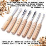 Schaaf Wood Carving Tools 7pc Expansion Chisel Set with Canvas Case Full Size